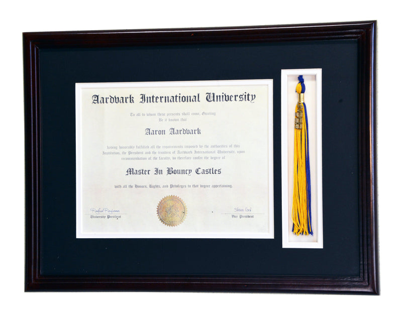 Diploma and Graduation Tassel Display Frame (w/ Custom Matting Colors) - sfDisplay.com